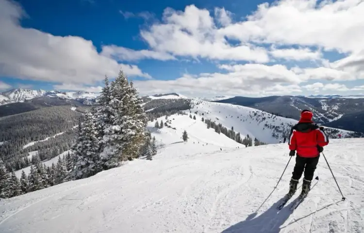 Cozy Ski Cabin Offering Cover Photo